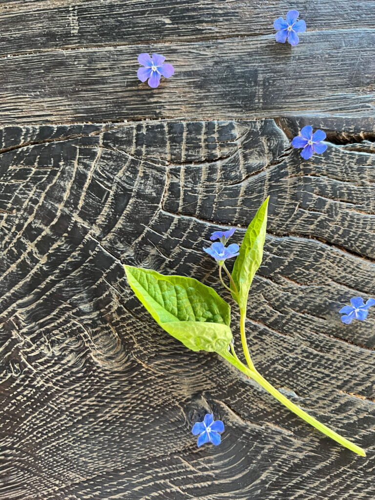 De søde bagte kartofler brugt i salat er pyntet med den spiselige blomst forglemmigej som ses liggende på et sort træbord