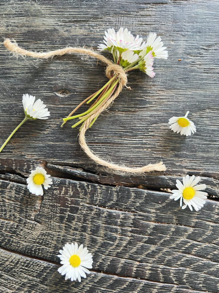 Tusindfryd pynter rucolasalat med parmesan