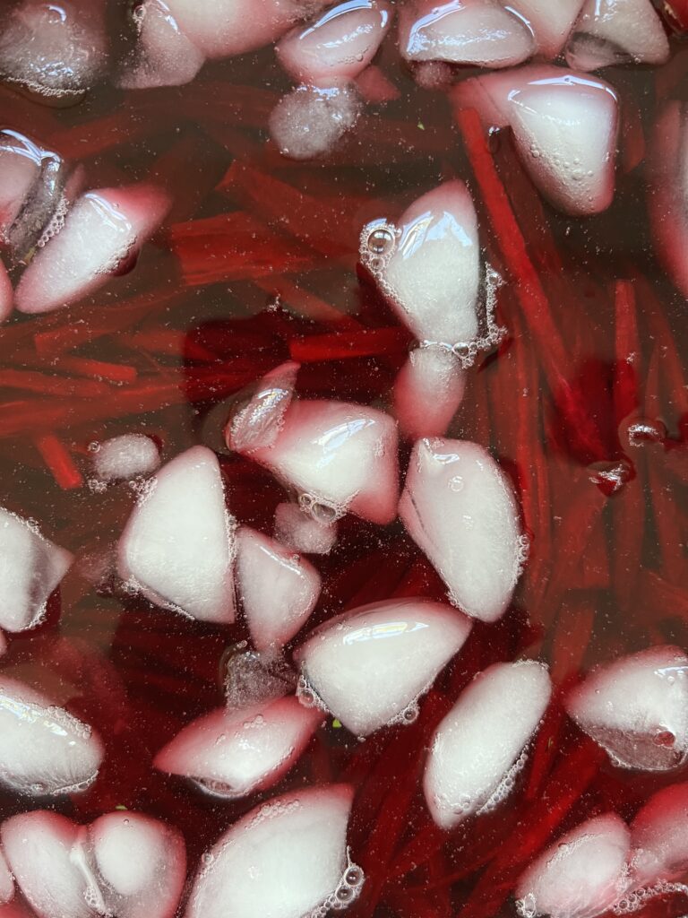 roedbeder-bliver-spoede-i-isvand