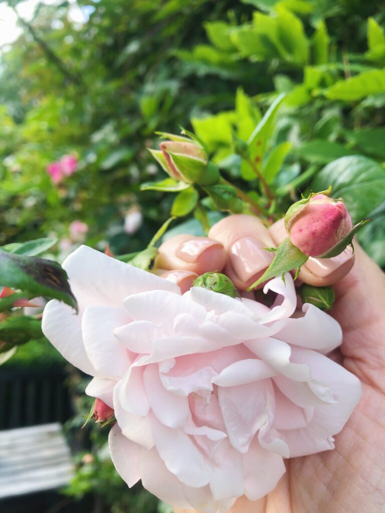 Blomsterpynt til salat med jordbær