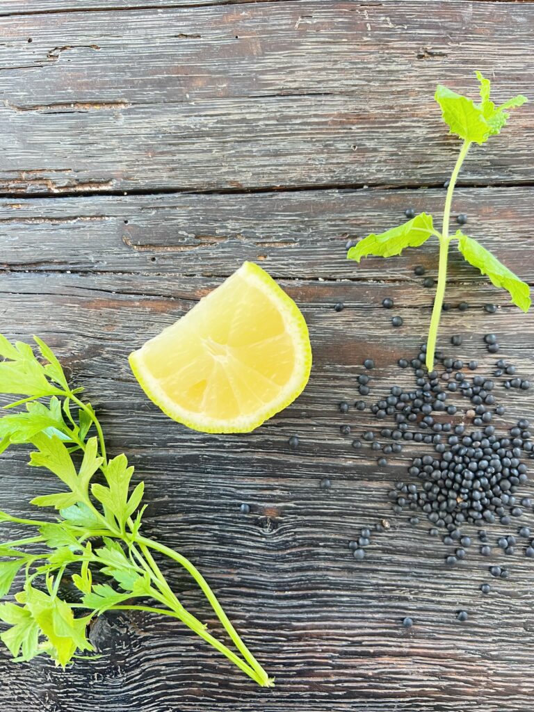 Citron gør græsk salat med linser frisk