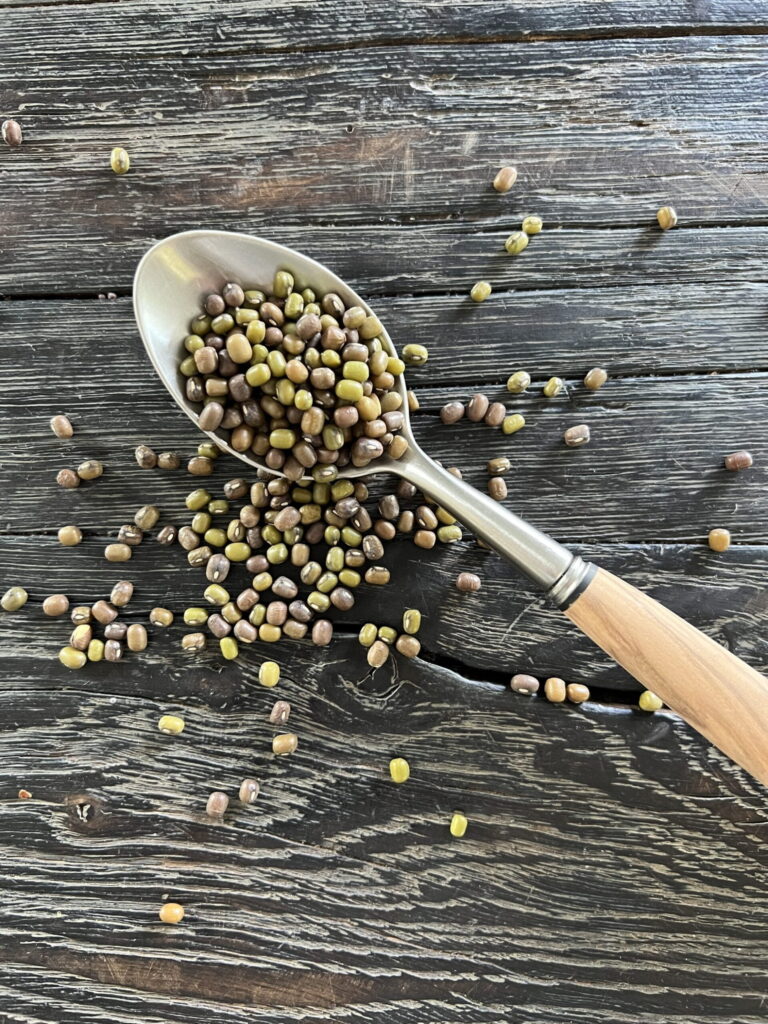 salat med mungbønner. Mungbønner ses spredt på et sort rustikt bord.