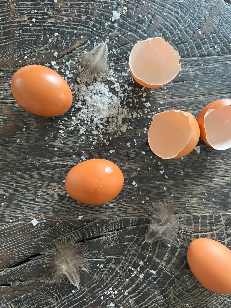 brune hele æg og æggeskaller ligger på sort træbord med lidt salt drysset omkring. Der ses også nogle gråbrune dun fra høns