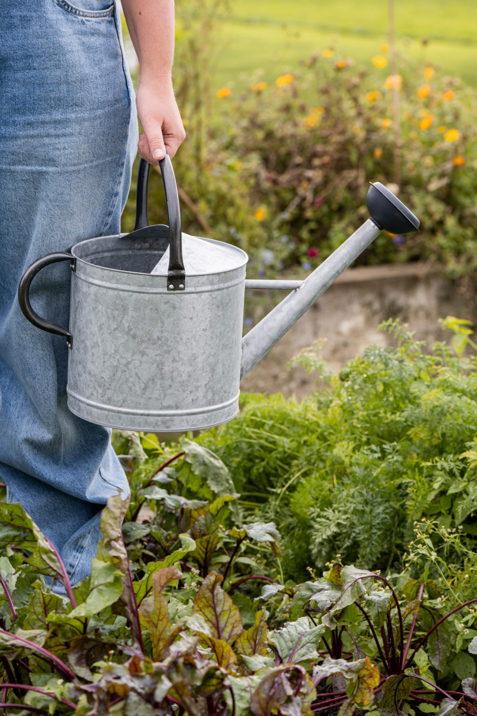 Vandkande i metal (zink) med spreder 9 ltr
