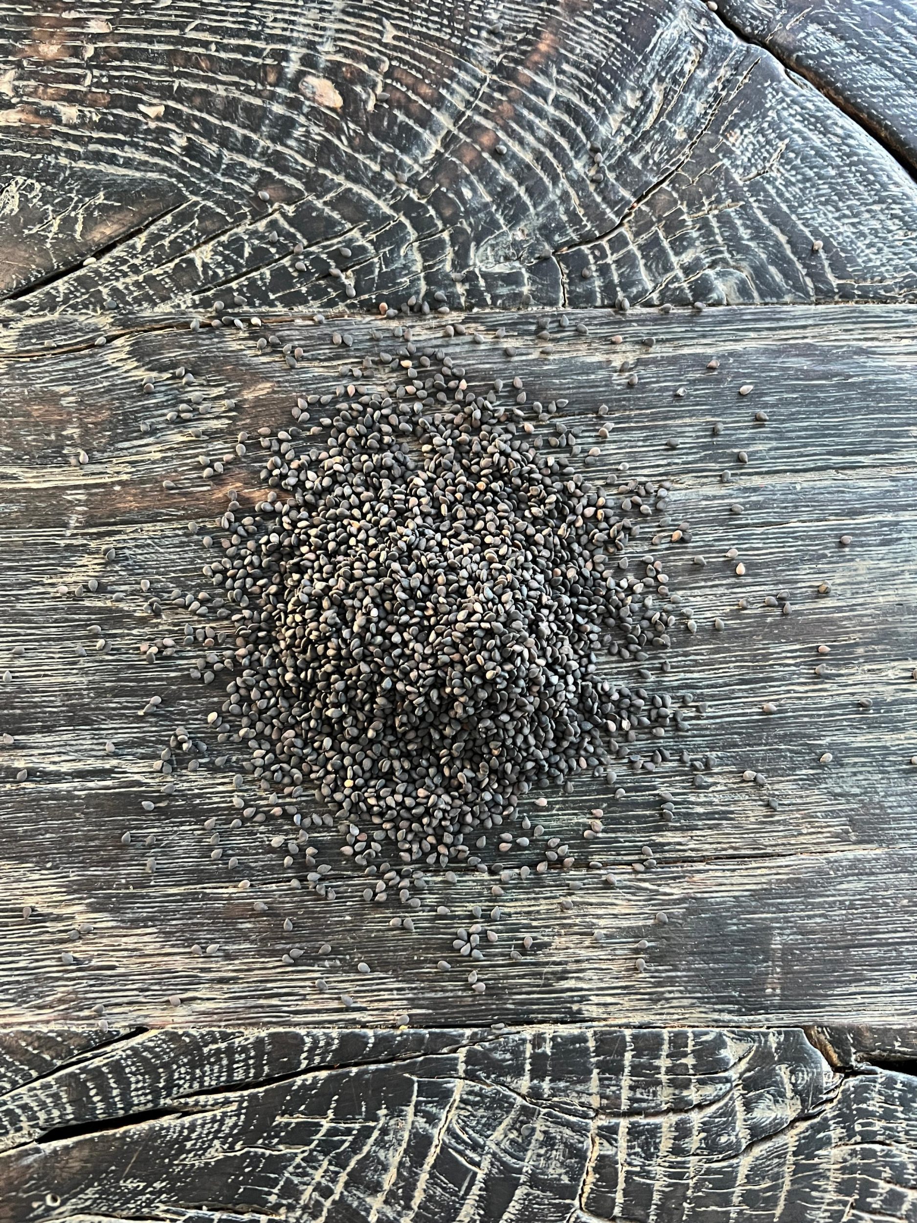 Sesamfrø, sorte | Økologisk | 90 g