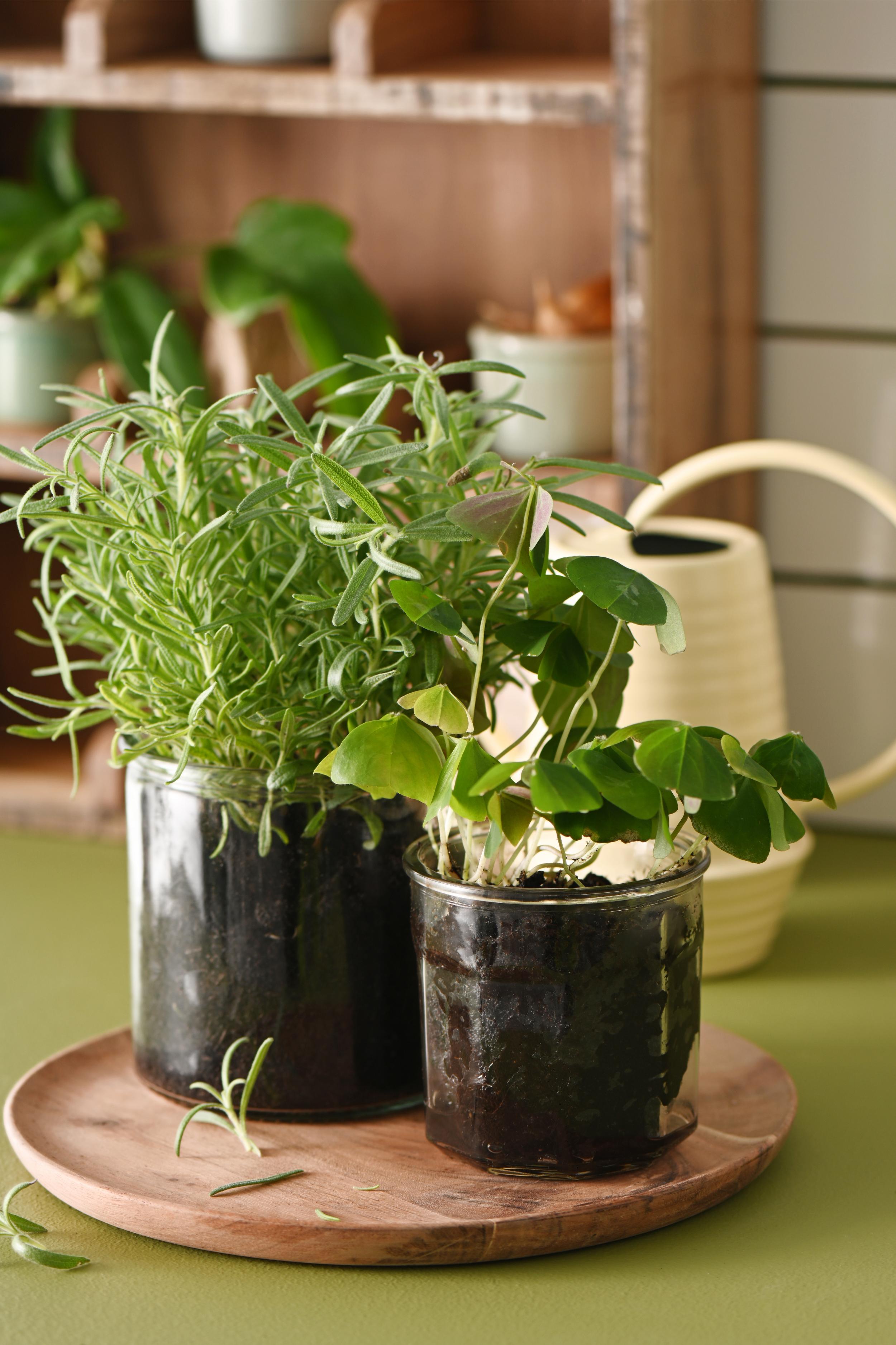 Lygte i tykt, mundblæst glas