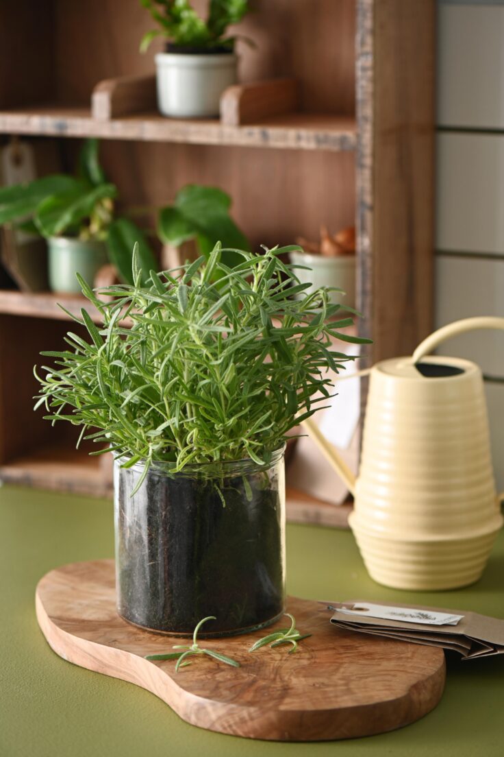 Lygte i tykt, mundblæst glas