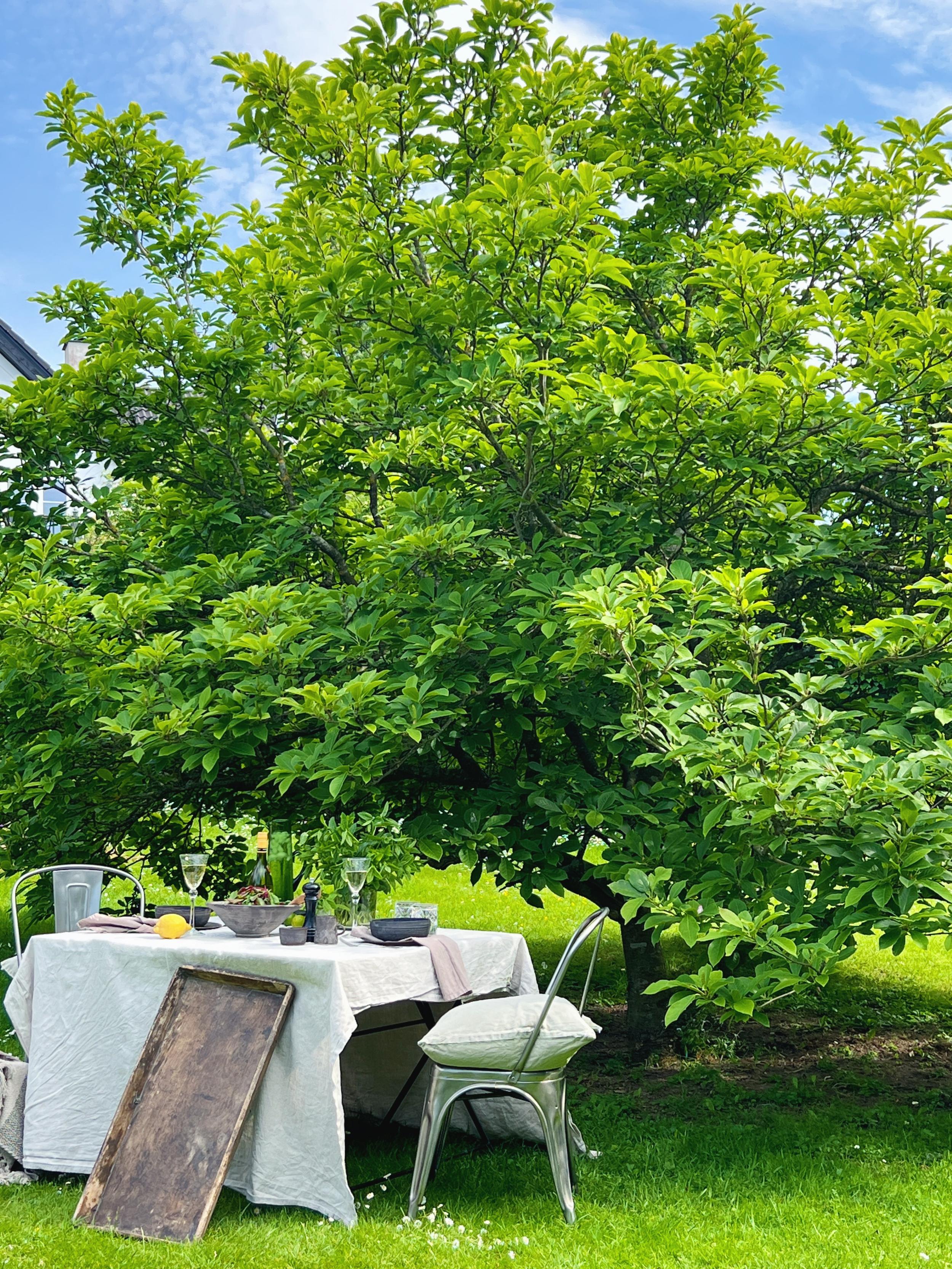 10 sommersalater | E-bog fra Salatboden
