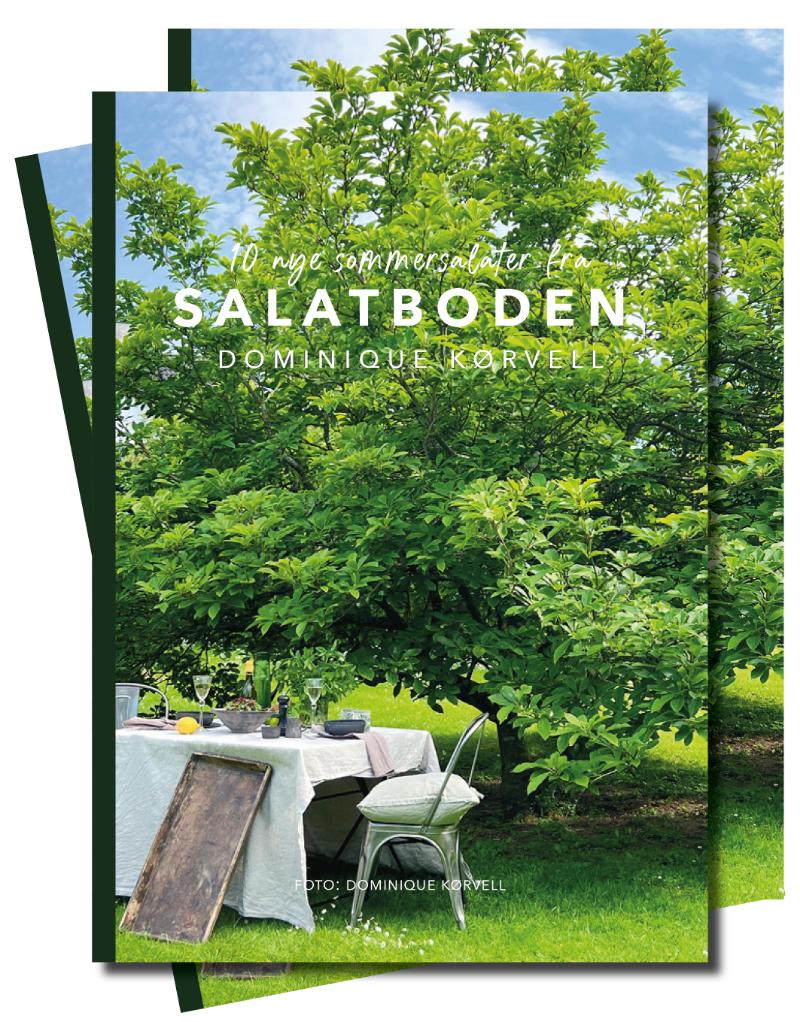 10 Sommersalater fra Salatboden | E-bog